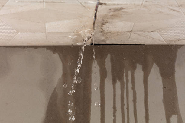 Professional Water Damage Repair technician working in Salisbury, MO
